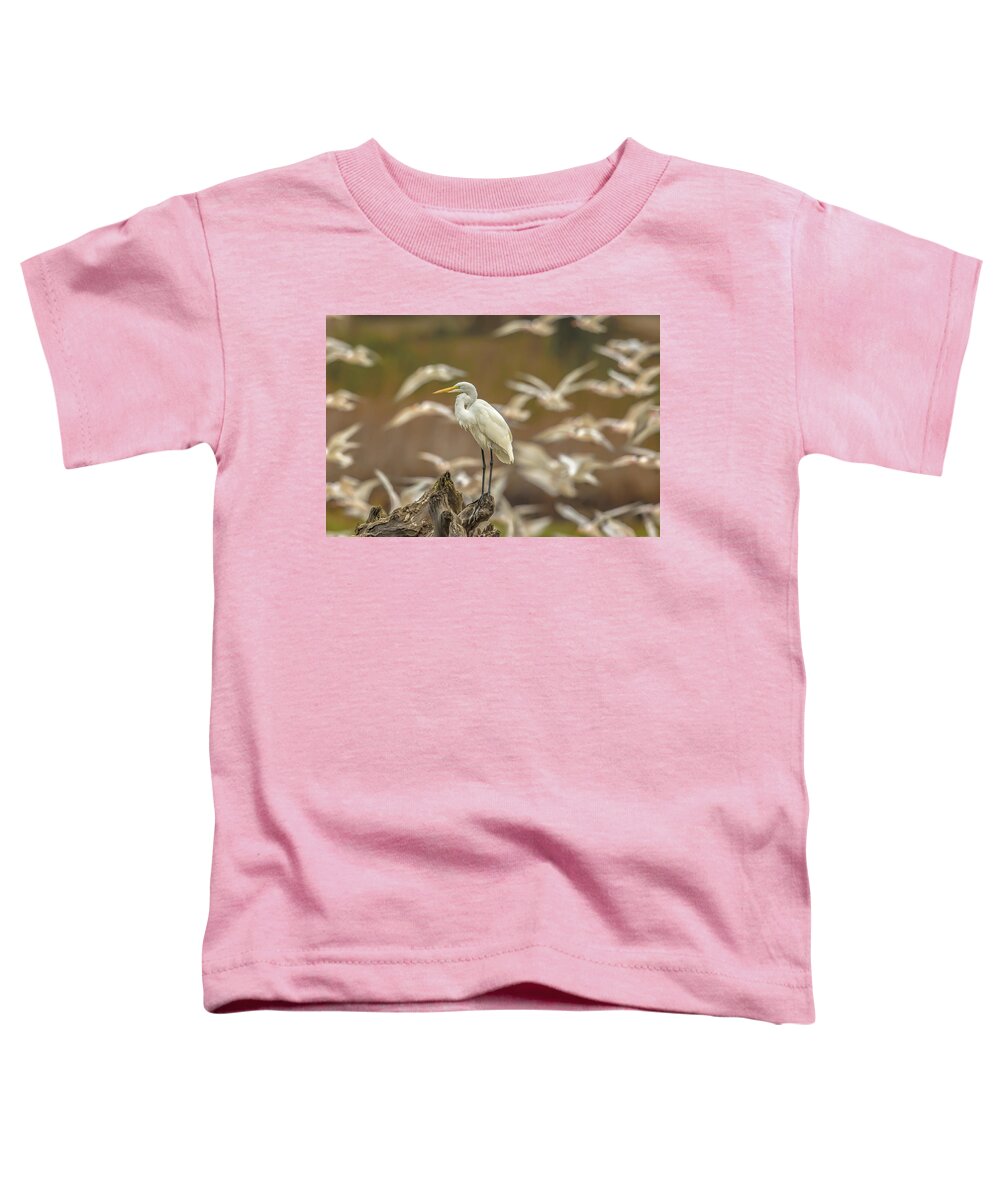 Library - Toddler T-Shirt