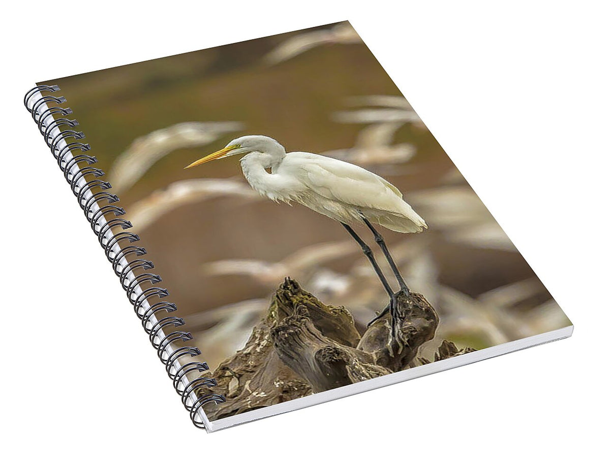 Library - Spiral Notebook