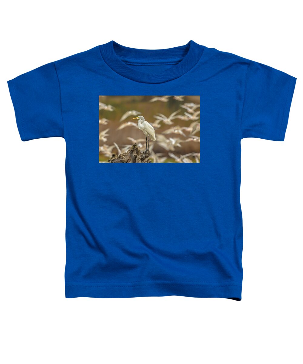 Library - Toddler T-Shirt