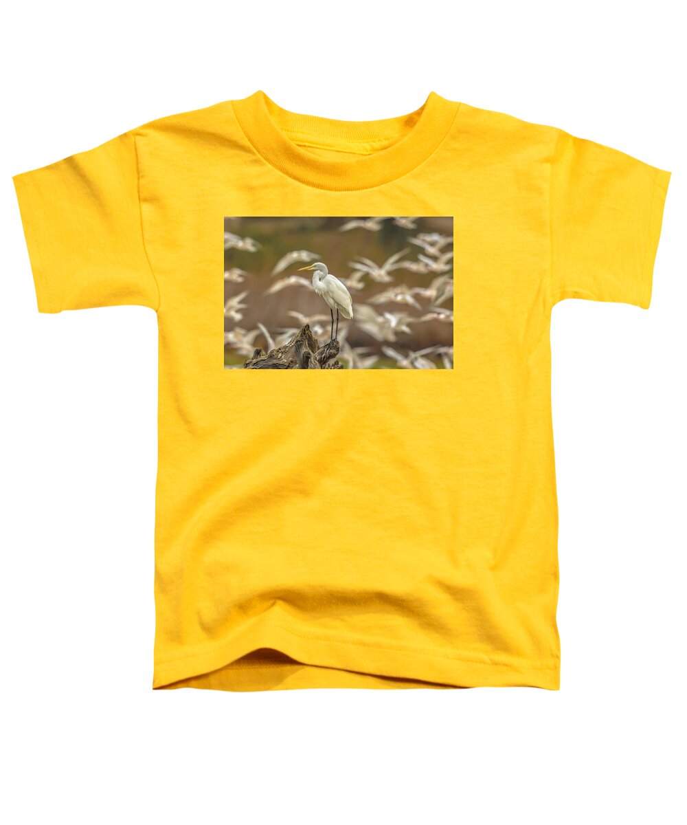 Library - Toddler T-Shirt
