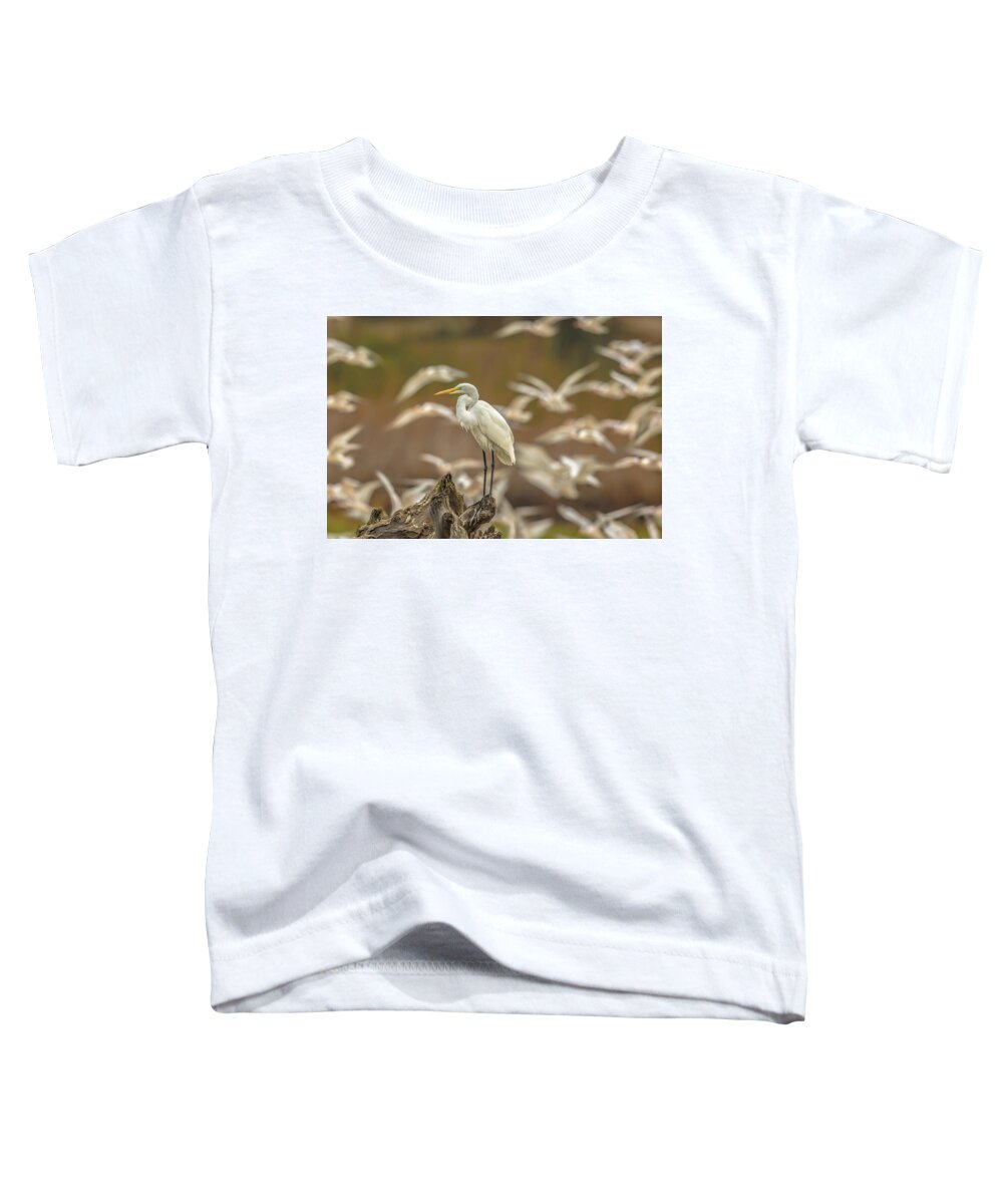 Library - Toddler T-Shirt