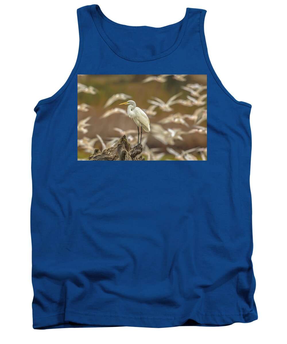 Library - Tank Top