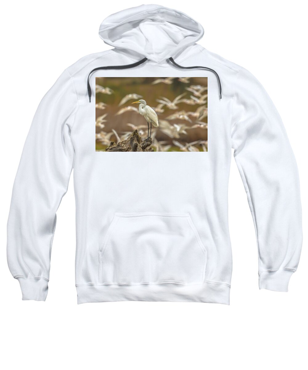 Library - Sweatshirt