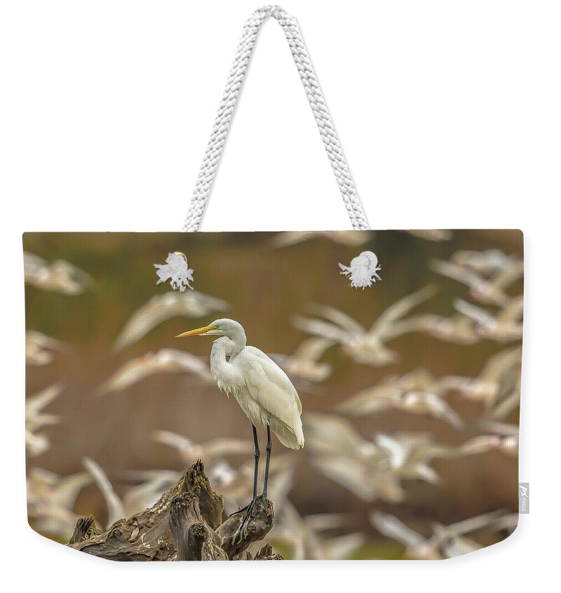 Library - Weekender Tote Bag
