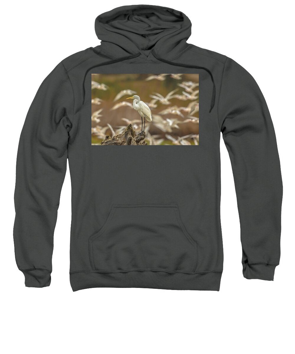 Library - Sweatshirt