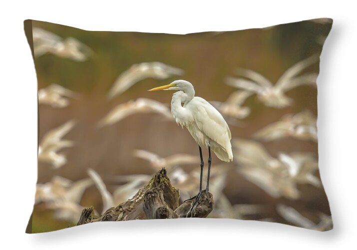 Library - Throw Pillow