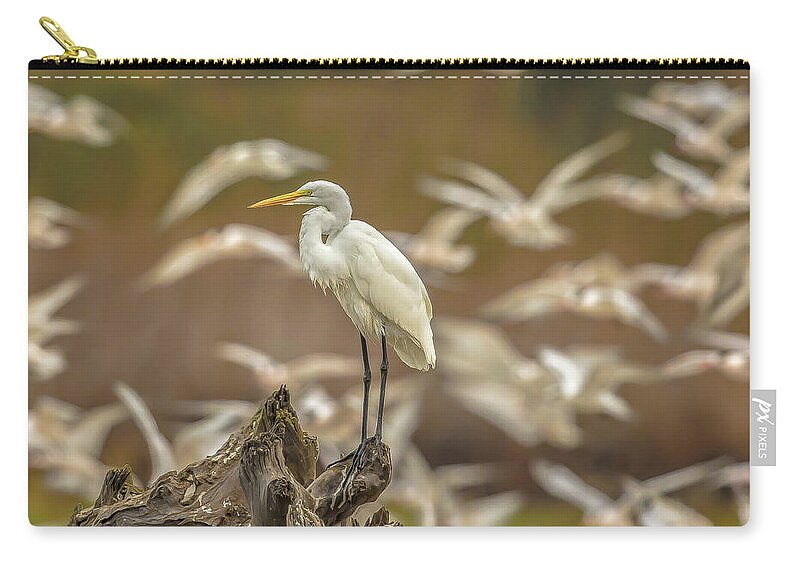 Library - Zip Pouch