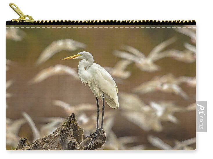 Library - Zip Pouch