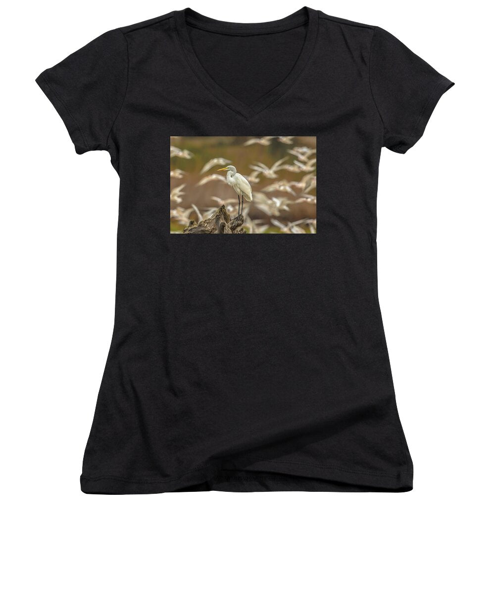 Library - Women's V-Neck