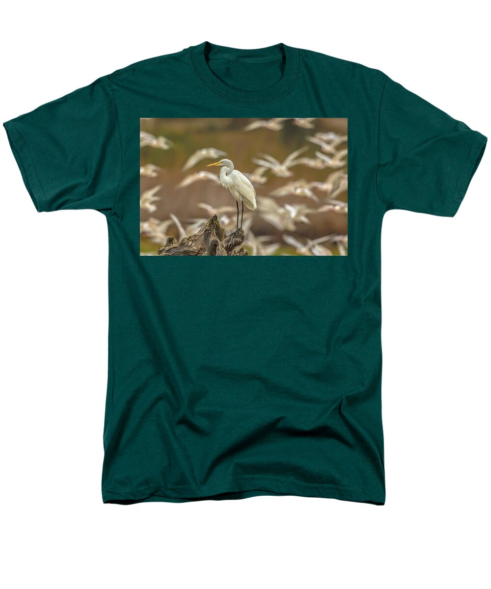 Library - Men's T-Shirt  (Regular Fit)