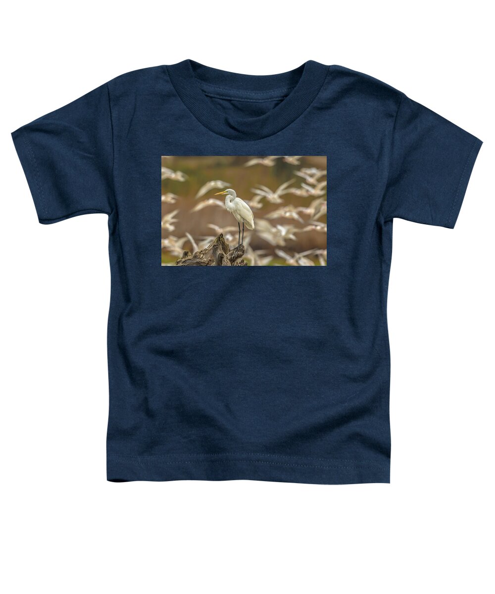 Library - Toddler T-Shirt