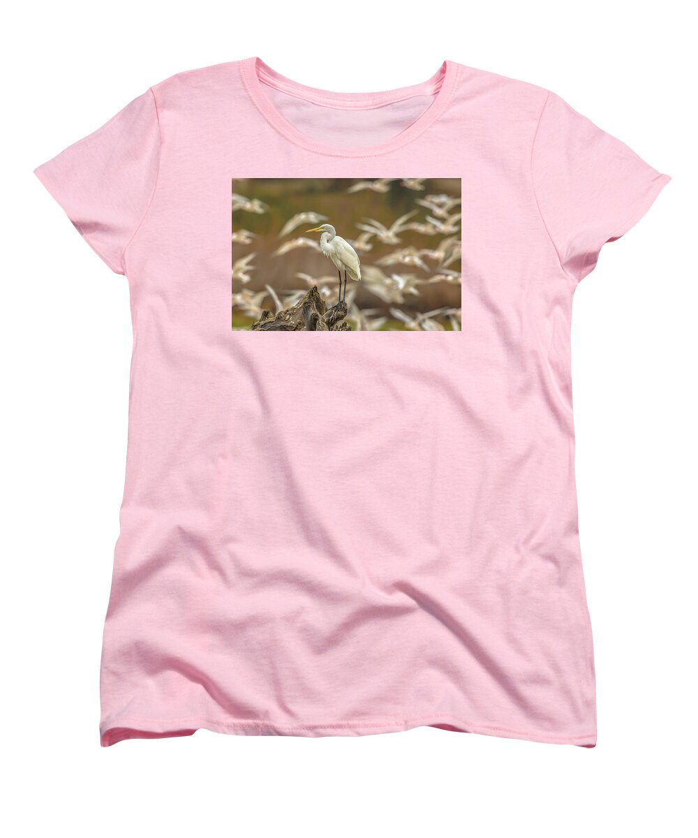 Library - Women's T-Shirt (Standard Fit)