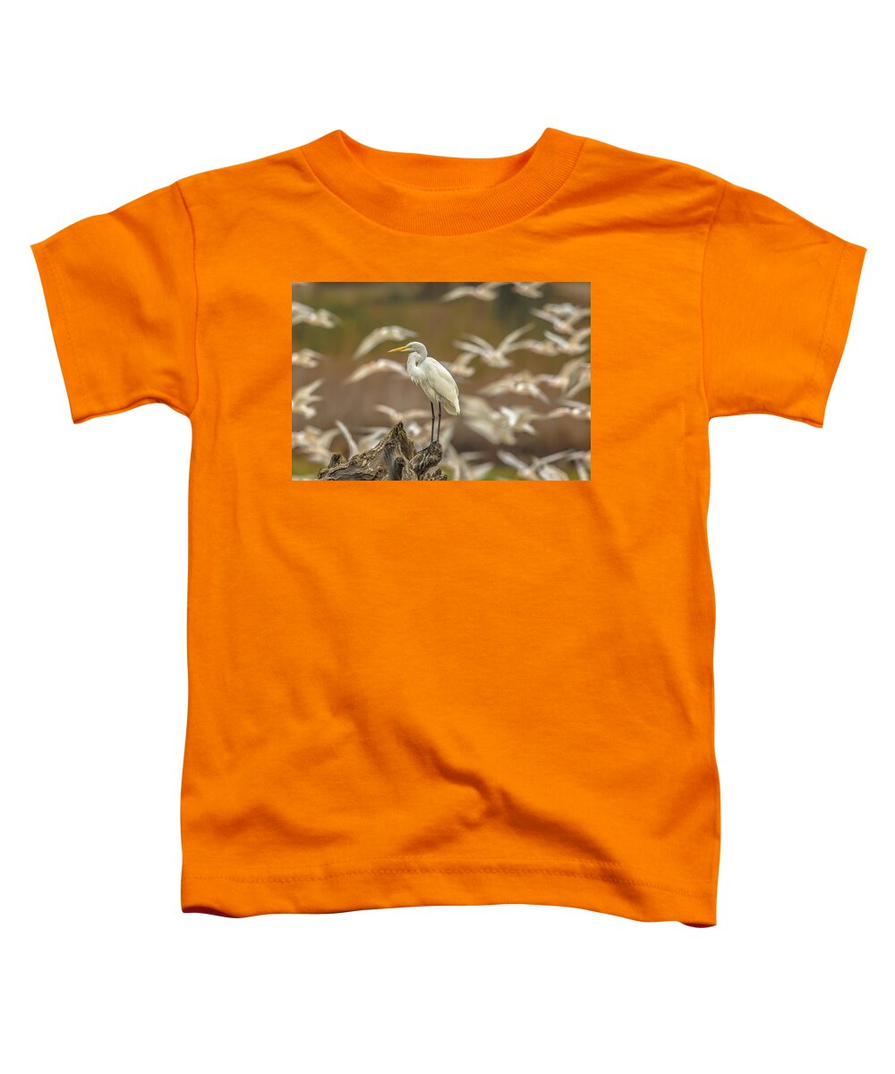Library - Toddler T-Shirt