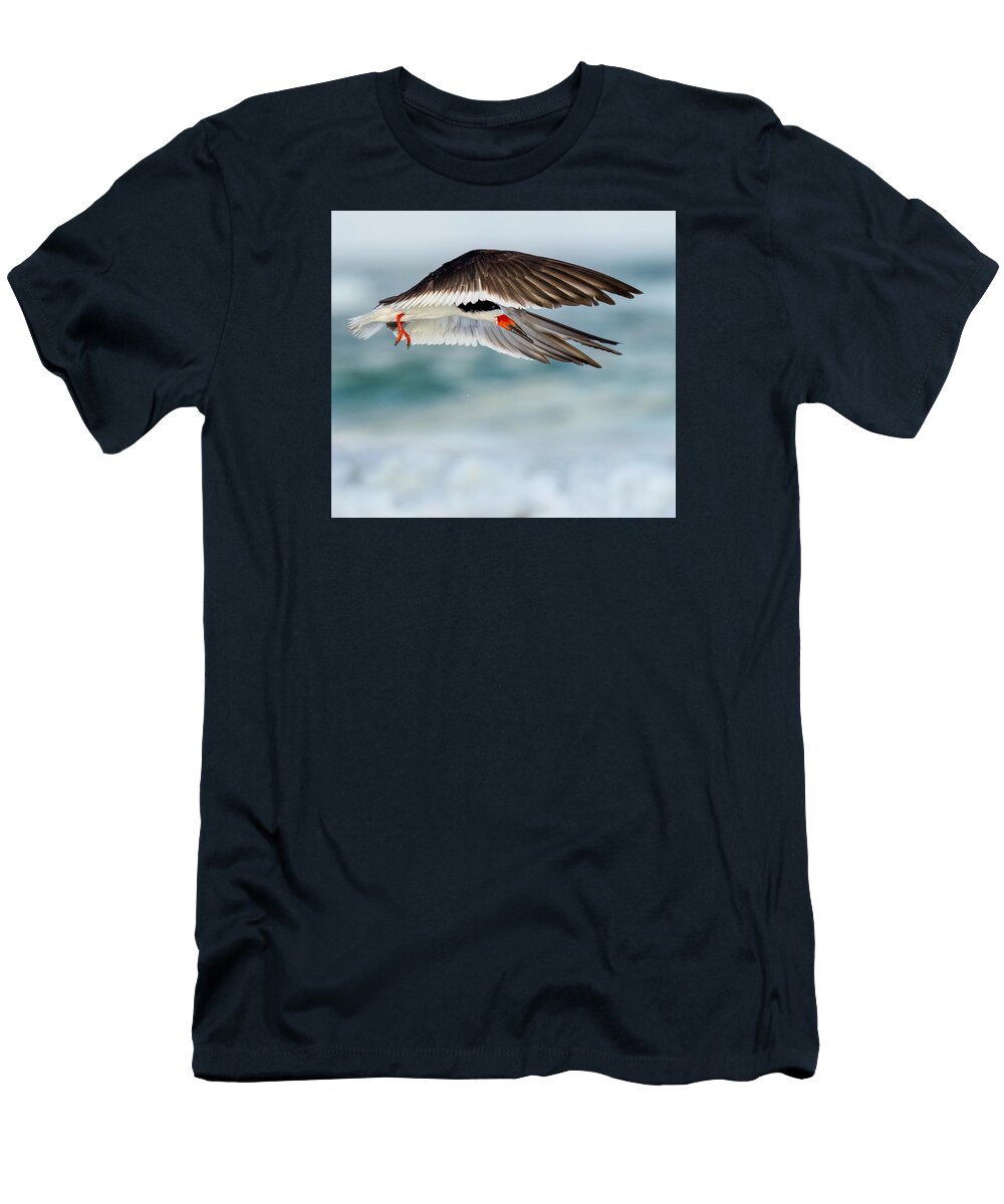 Lido - T-Shirt