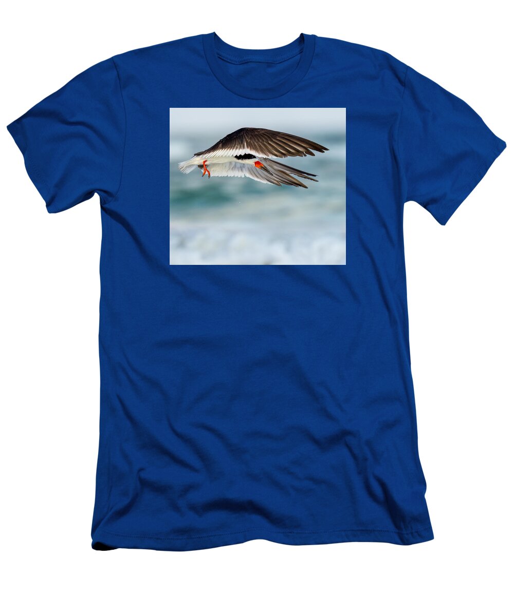Lido - T-Shirt