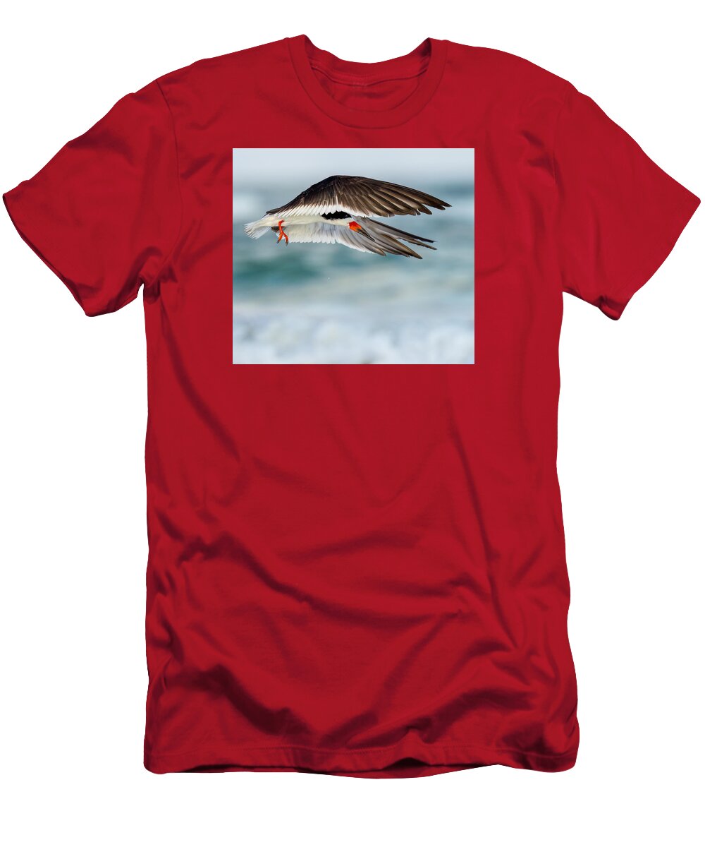 Lido - T-Shirt