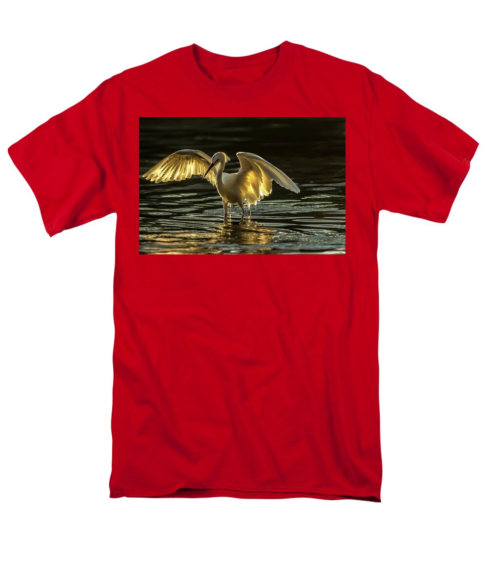 Light Dancer - Men's T-Shirt  (Regular Fit)