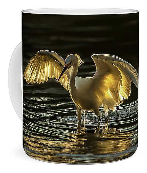 Light Dancer - Mug