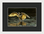 Light Dancer - Framed Print