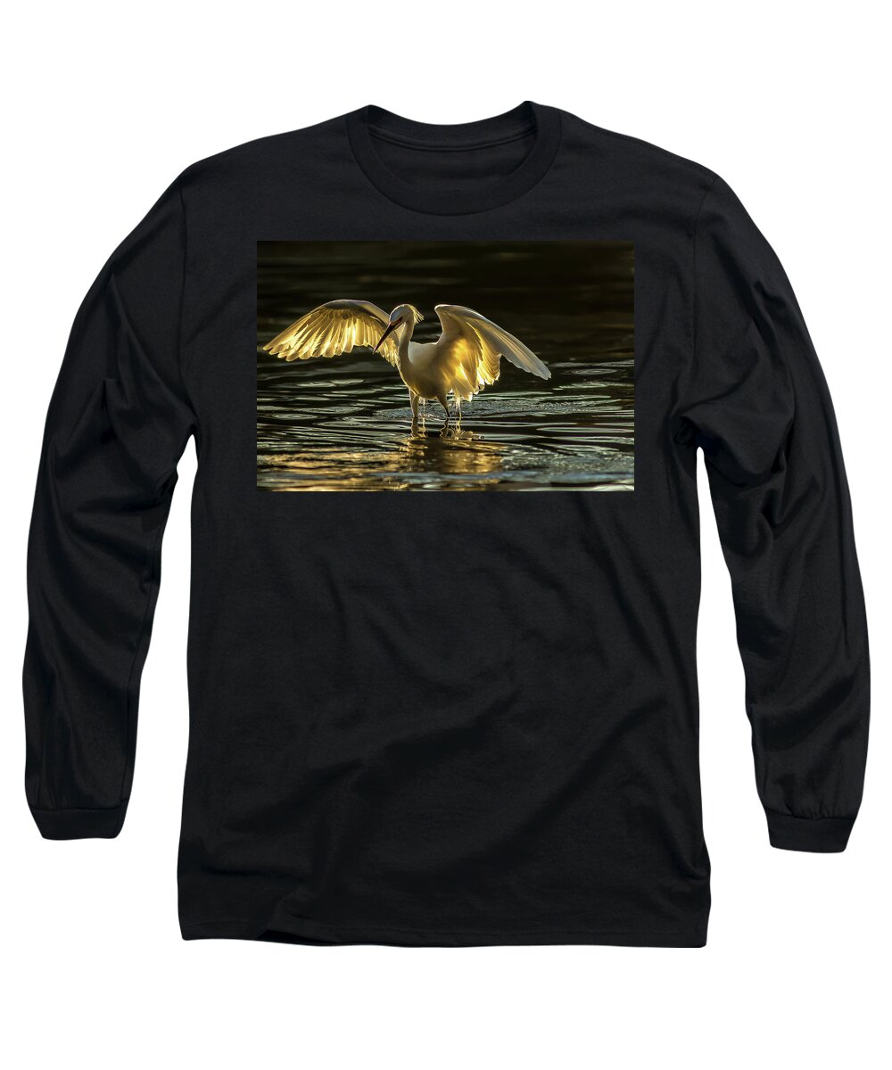 Light Dancer - Long Sleeve T-Shirt
