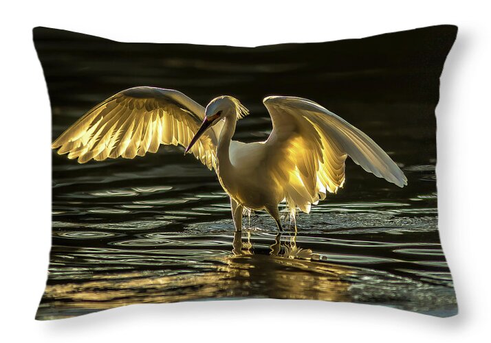 Light Dancer - Throw Pillow