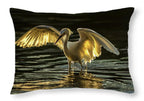 Light Dancer - Throw Pillow