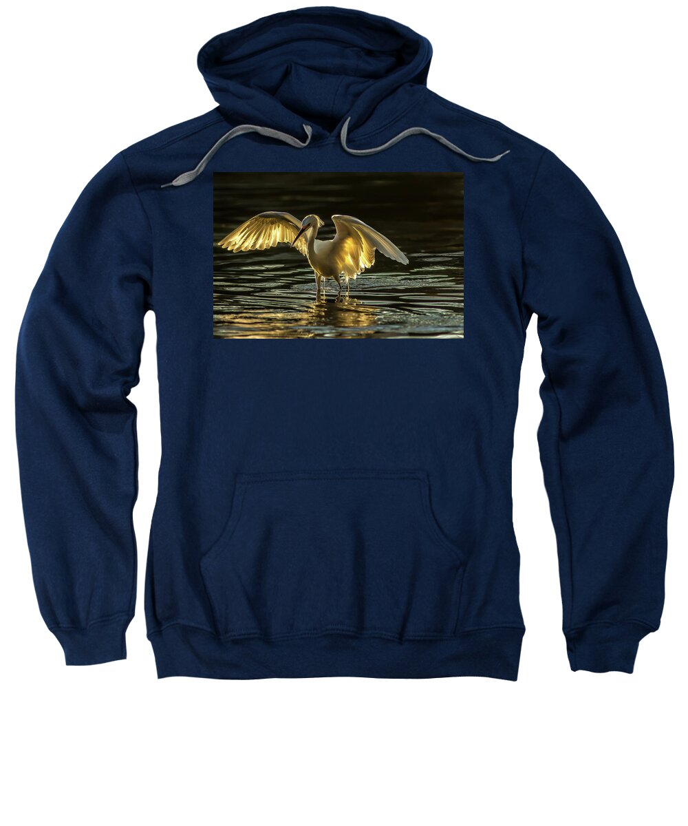 Light Dancer - Sweatshirt