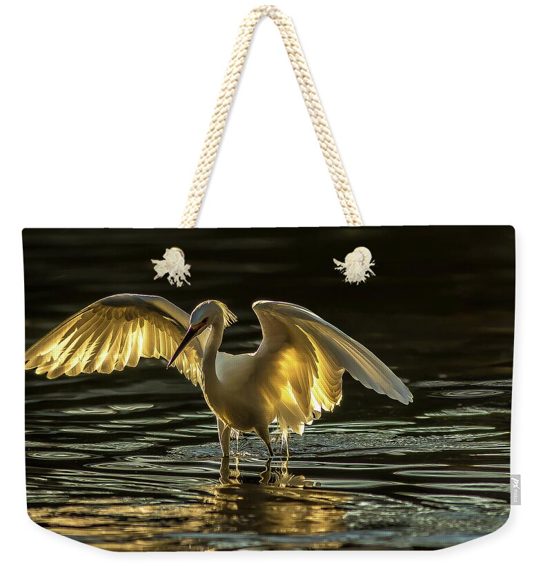 Light Dancer - Weekender Tote Bag