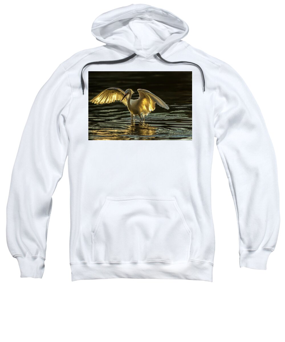 Light Dancer - Sweatshirt