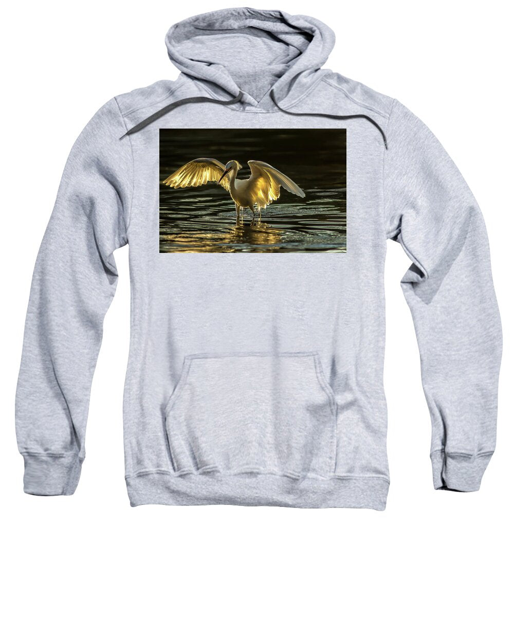 Light Dancer - Sweatshirt