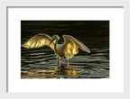 Light Dancer - Framed Print