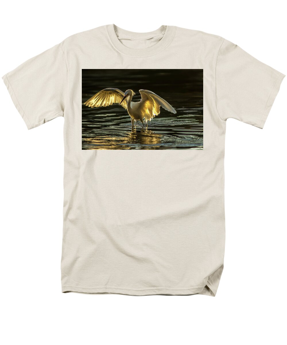 Light Dancer - Men's T-Shirt  (Regular Fit)