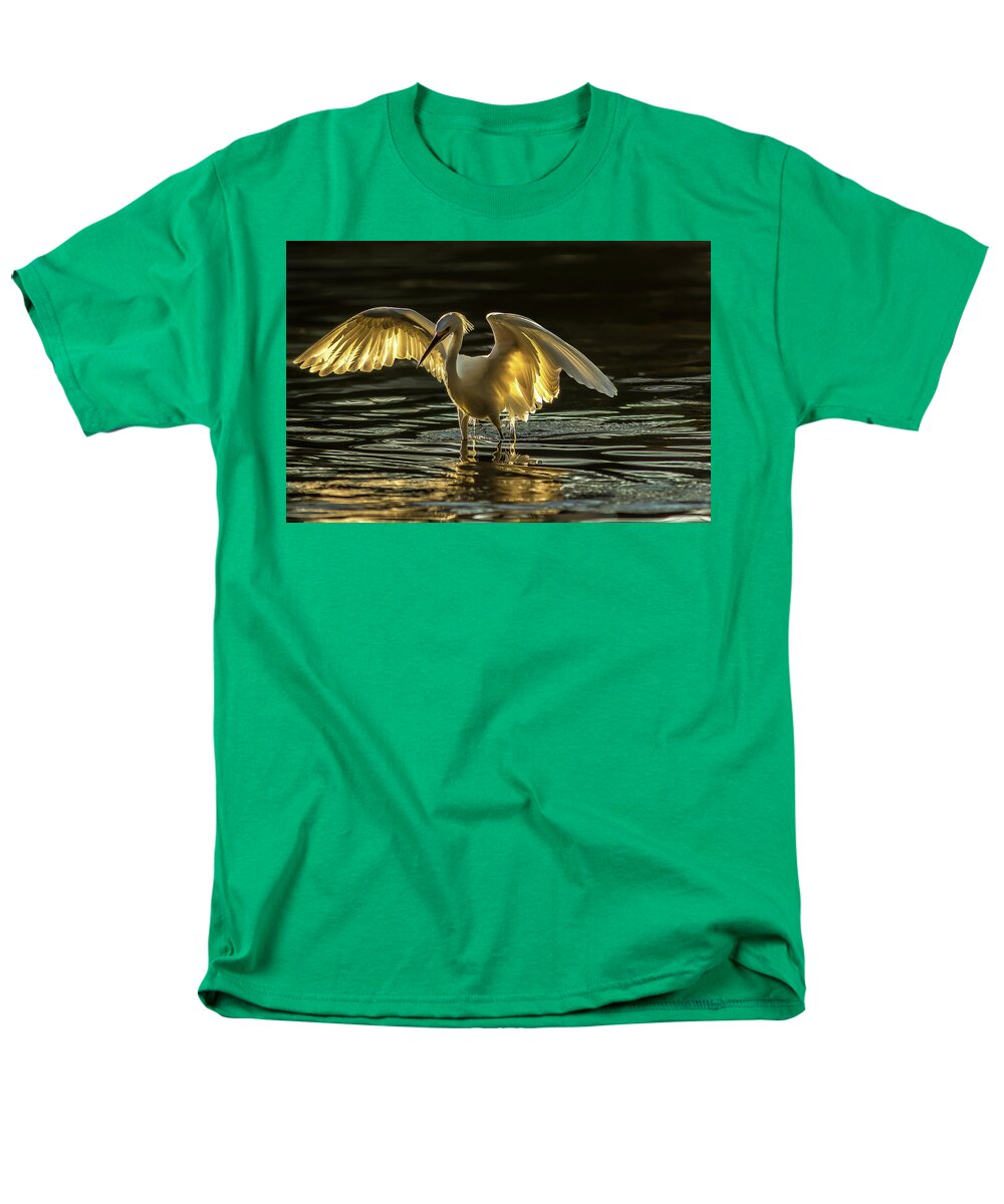 Light Dancer - Men's T-Shirt  (Regular Fit)