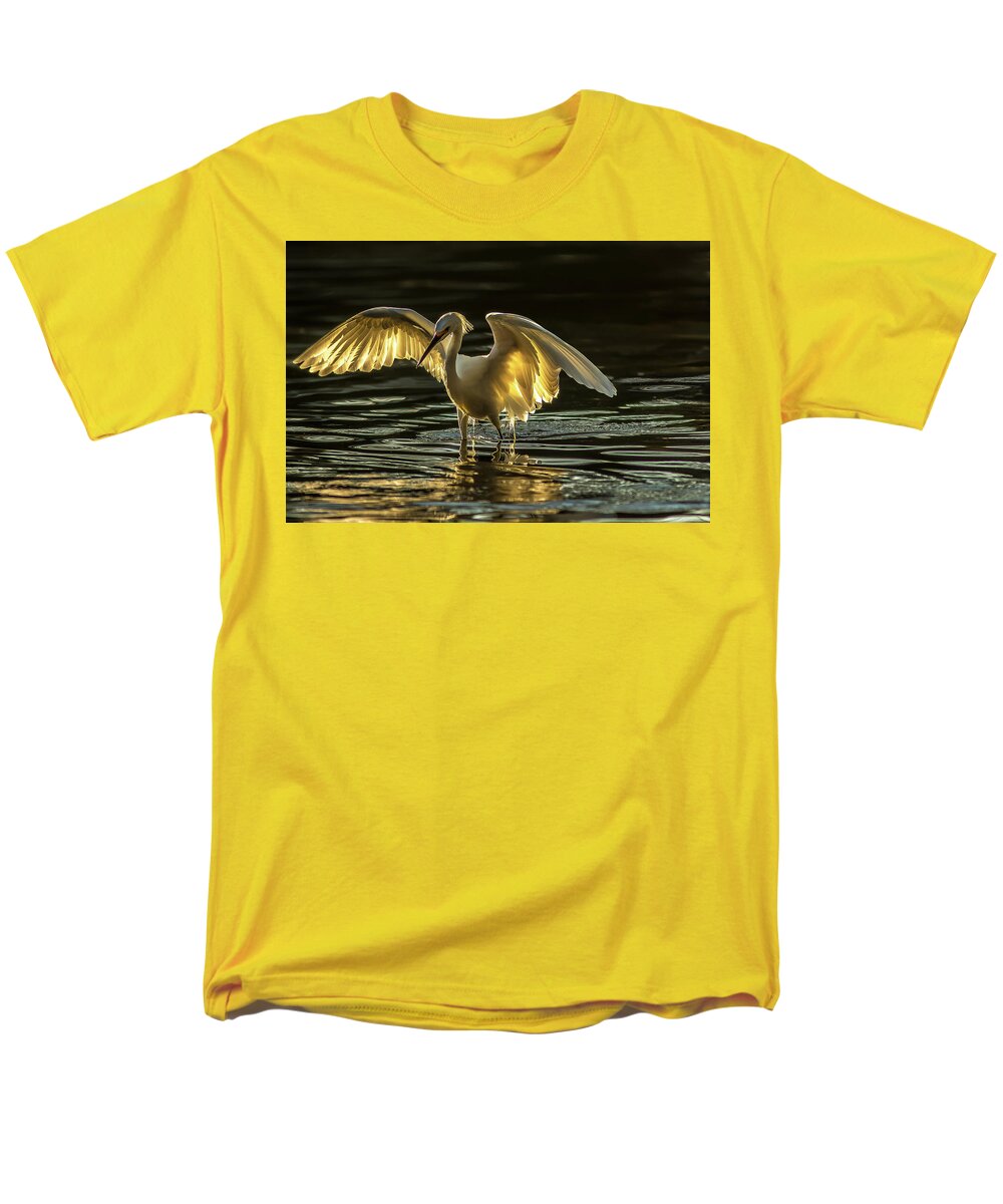 Light Dancer - Men's T-Shirt  (Regular Fit)