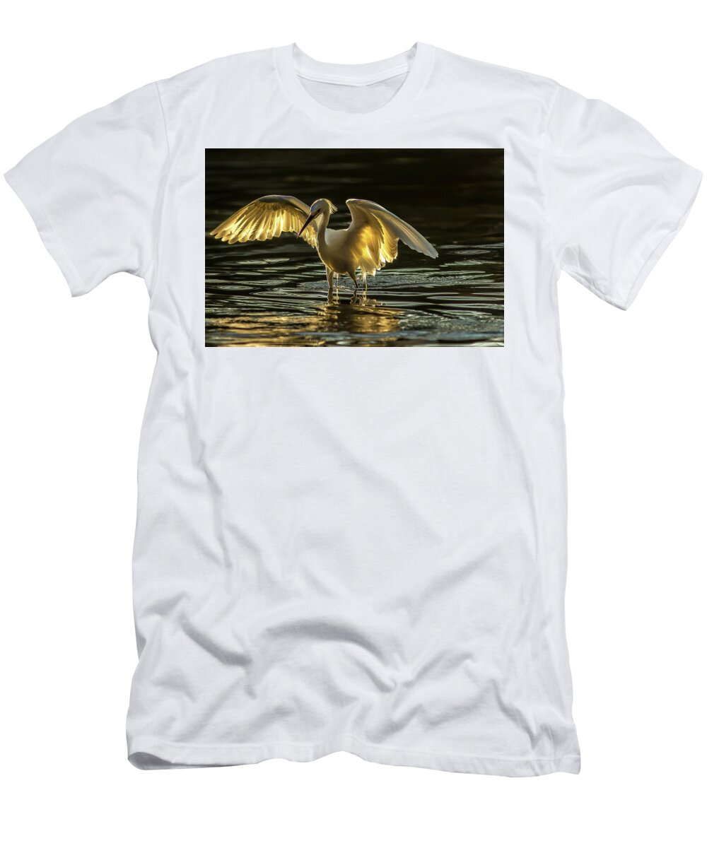 Light Dancer - T-Shirt