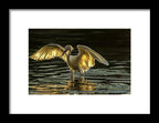 Light Dancer - Framed Print