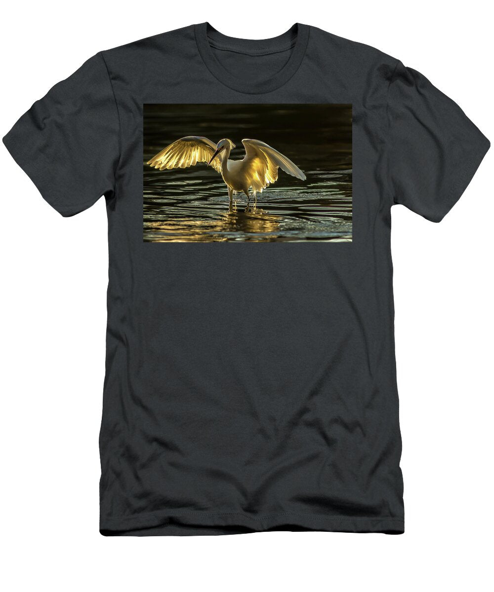 Light Dancer - T-Shirt