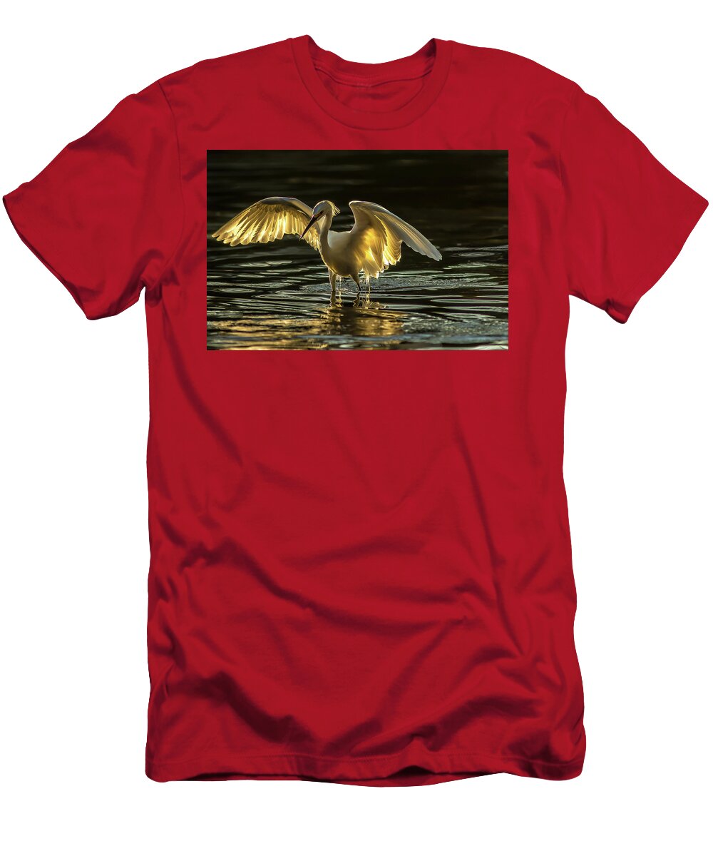 Light Dancer - T-Shirt