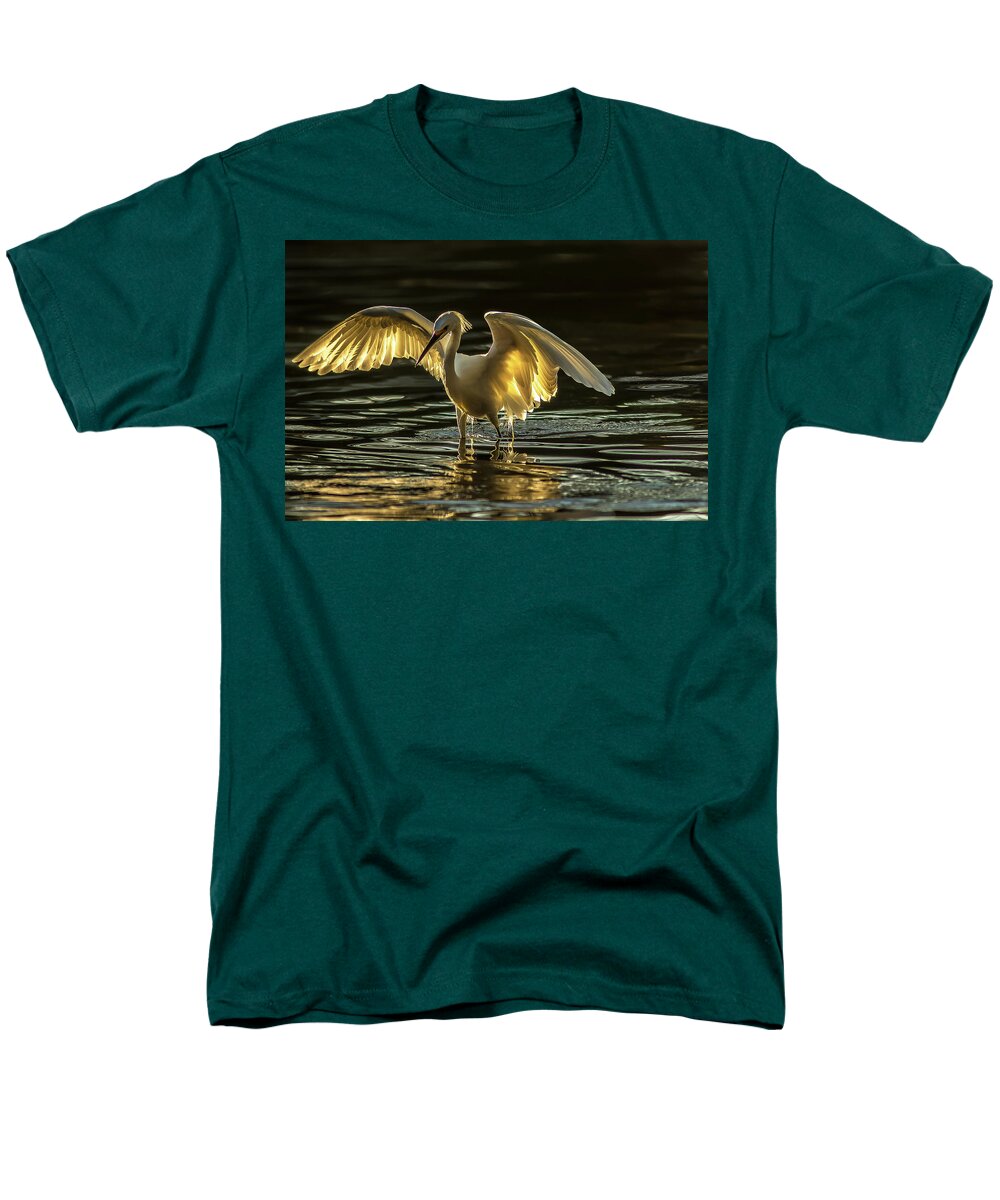 Light Dancer - Men's T-Shirt  (Regular Fit)