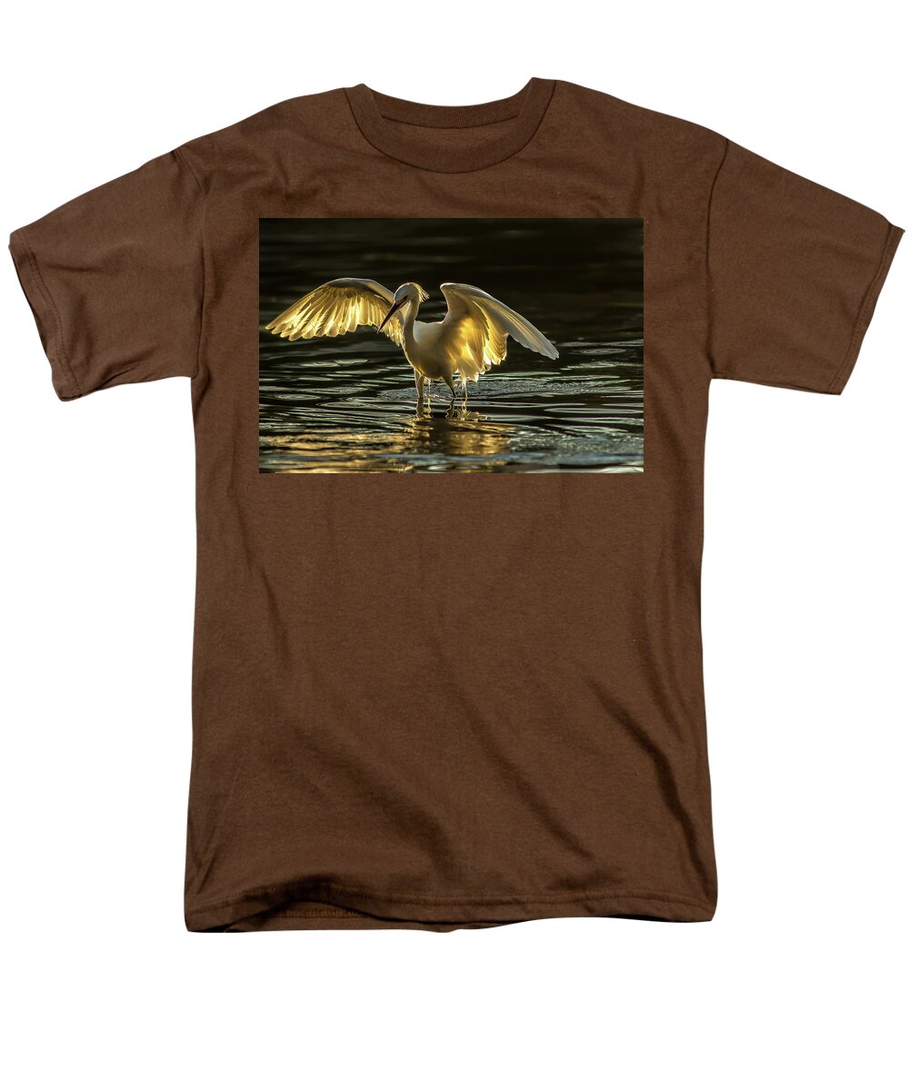 Light Dancer - Men's T-Shirt  (Regular Fit)