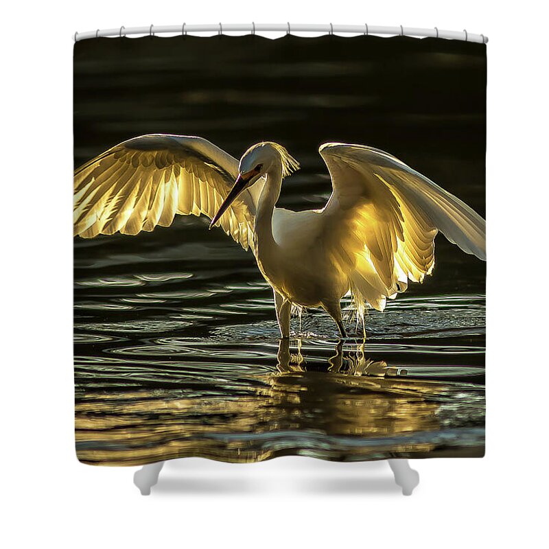 Light Dancer - Shower Curtain