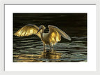 Light Dancer - Framed Print