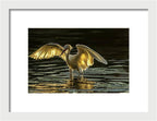 Light Dancer - Framed Print
