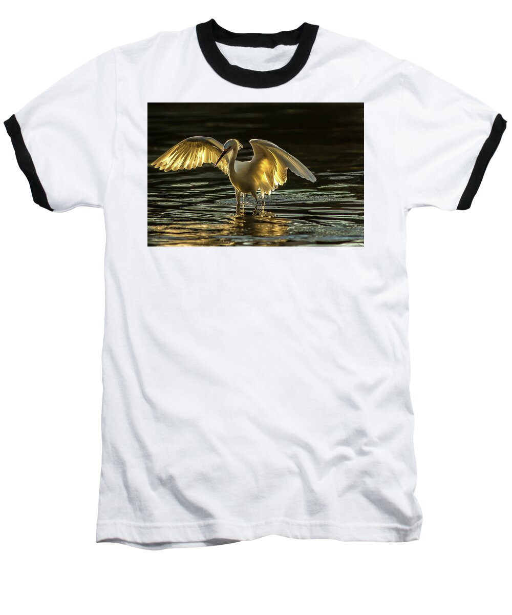 Light Dancer - Baseball T-Shirt