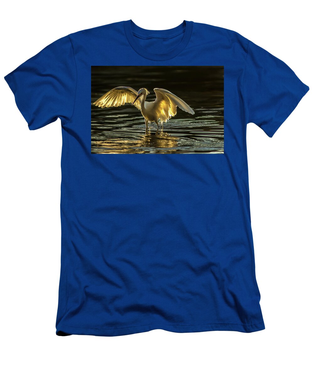 Light Dancer - T-Shirt