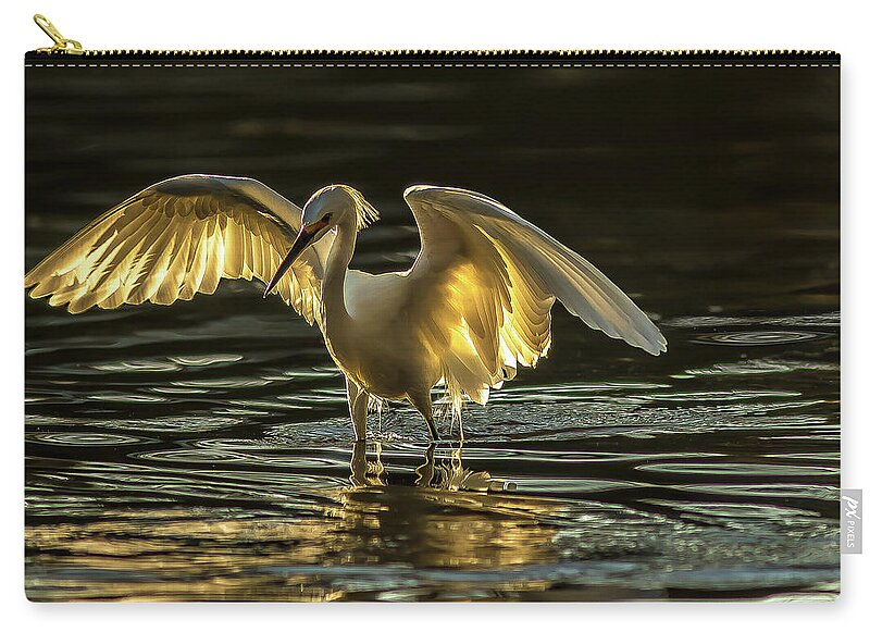 Light Dancer - Zip Pouch