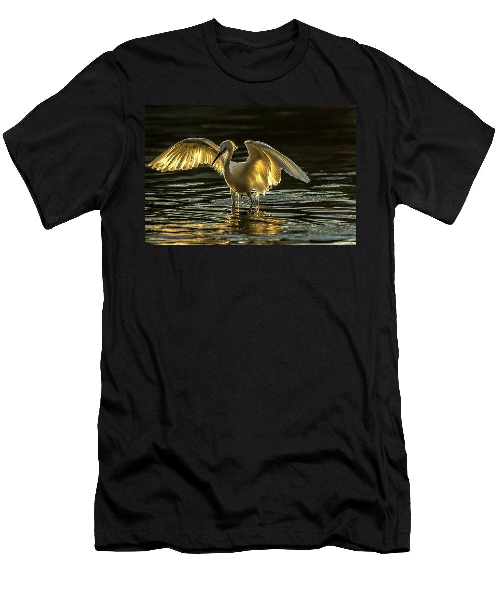 Light Dancer - T-Shirt