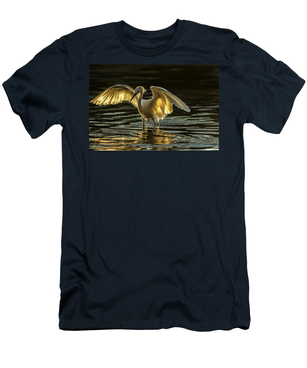 Light Dancer - T-Shirt
