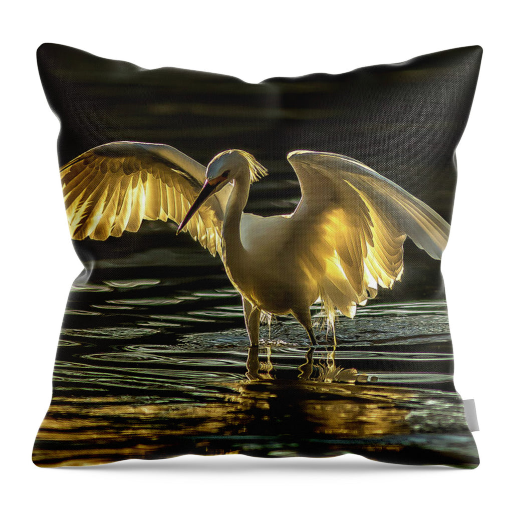 Light Dancer - Throw Pillow