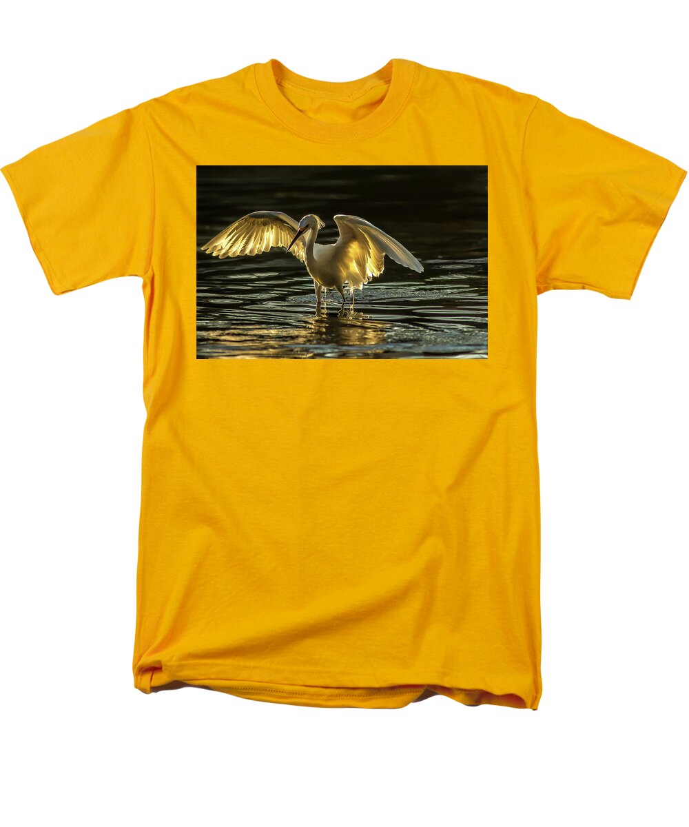 Light Dancer - Men's T-Shirt  (Regular Fit)